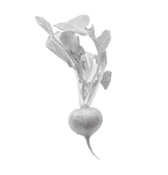 Kooperatywa spożywcza w Gdańsku